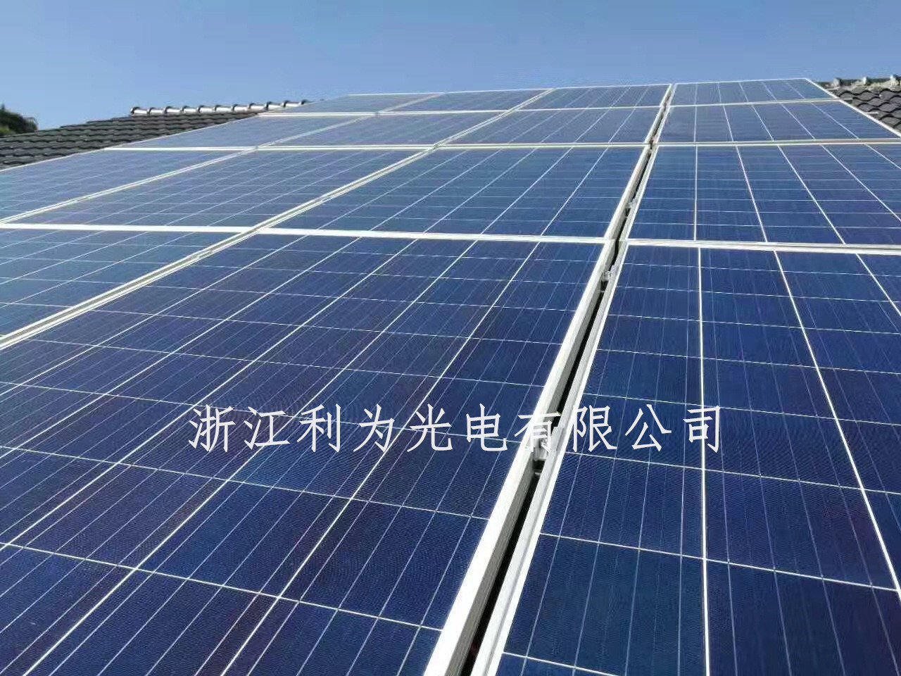 JDB电子试玩网页版|未命名“财经”的财经类大学