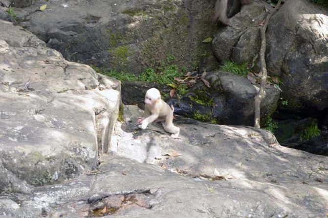 JDB电子游戏官网-贵州省人大常委会审议督促起诉工作