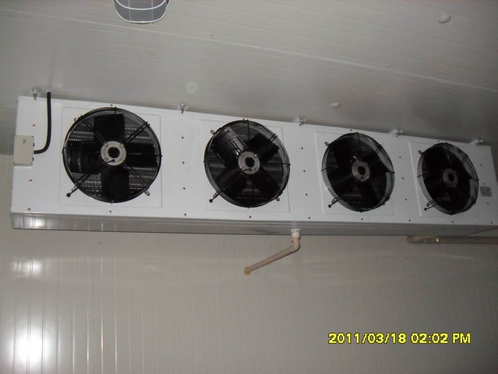 JDB电子游戏官网