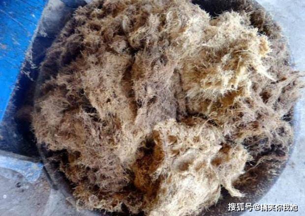 ‘JDB电子游戏官网’
这“土特产”, 天天泡上2勺, 女人喝了美容养颜, 男子喝了还养肝(图4)