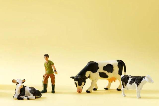 
为什么现在的牛奶没有以前好喝？-JDB电子(图3)